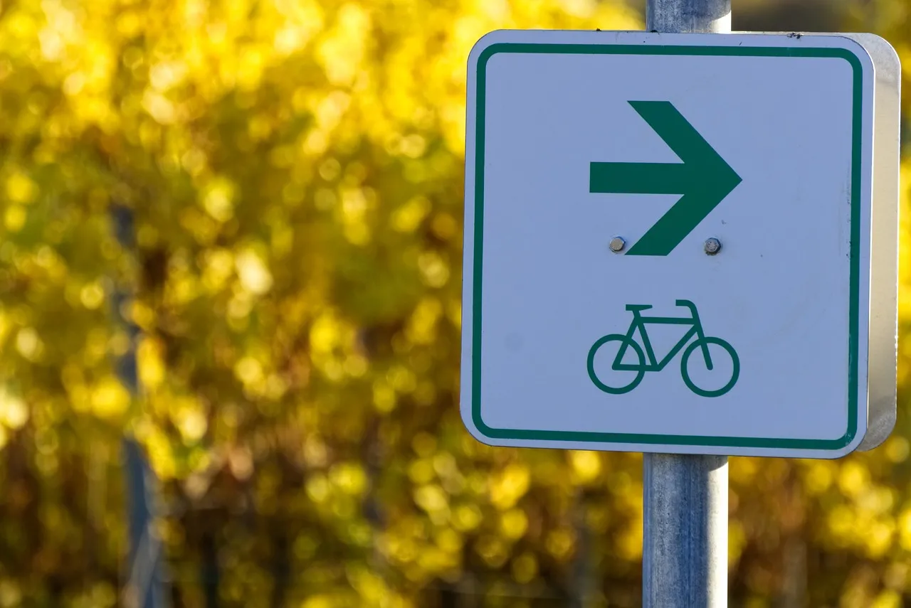 Pista ciclabile